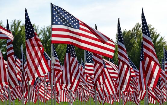 A field of American flags.