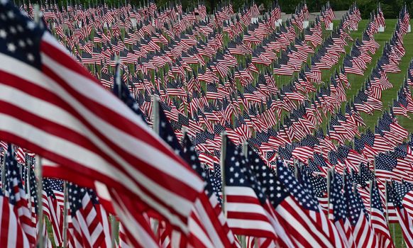 A field of American flags.