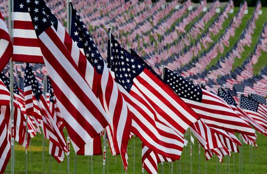 A field of American flags.