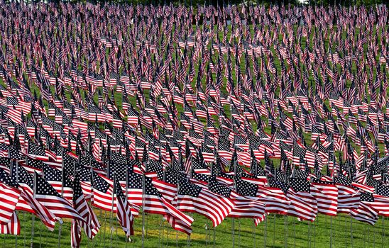 A field of American flags.