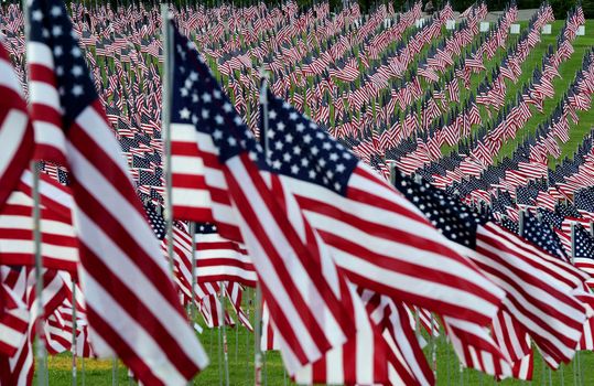 A field of American flags.