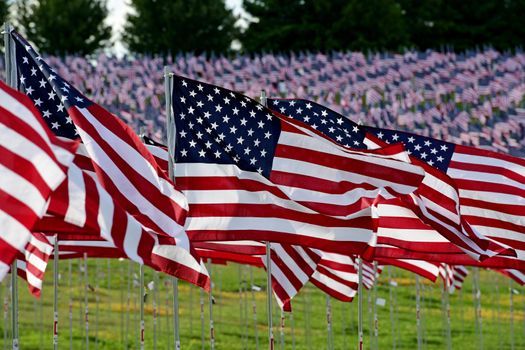 A field of American flags.