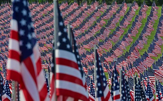 A field of American flags.