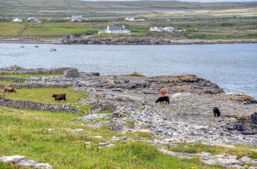 Inishmore on the Aran Islands, Ireland.