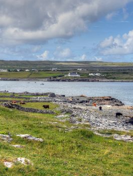 Inishmore on the Aran Islands, Ireland.