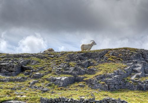 Inishmore on the Aran Islands, Ireland.