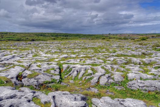 Limestone Field in the Burren, Ireland.