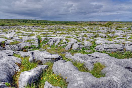 Limestone Field in the Burren, Ireland.