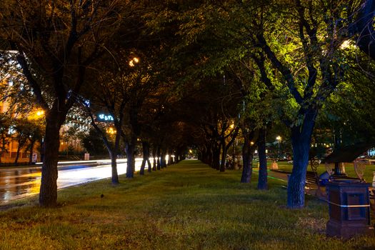 Night city landscape. The main square of the city of Khabarovsk in the light of lanterns, which are reflected in puddles after the rain just passed.