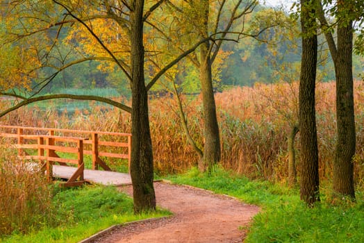 early morning in a beautiful empty autumn park with a lake