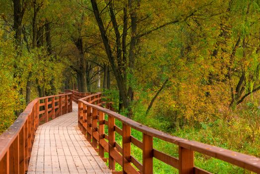 walking trail in the autumn empty park, September