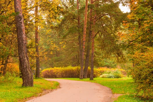 photo of an autumn empty park on a cloudy day