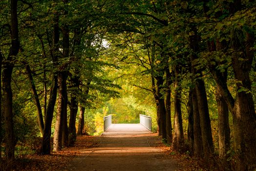 a dark alley in an autumn park, a view of a wooden bridge over a lake