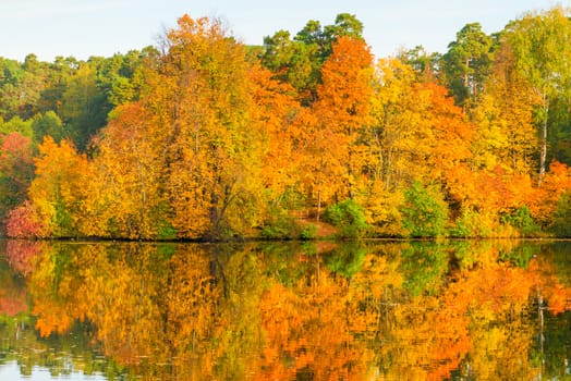 Beautiful bright autumn forest by the picturesque lake