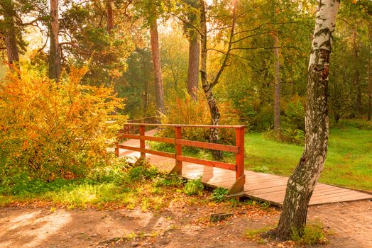 Sunny autumn day, picturesque park landscape in October