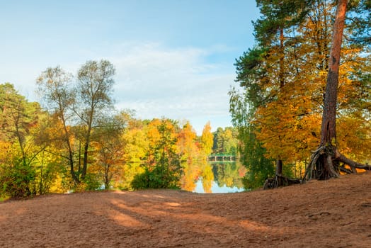 Yellow orange foliage of trees in a park on the shore of a picturesque lake, a beautiful autumn landscape