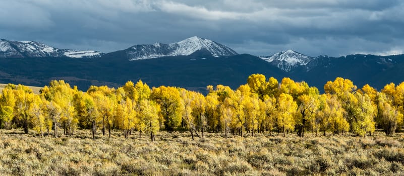 Gros Ventre River Valley