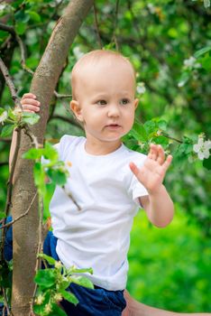 boy in a spring park near a tree