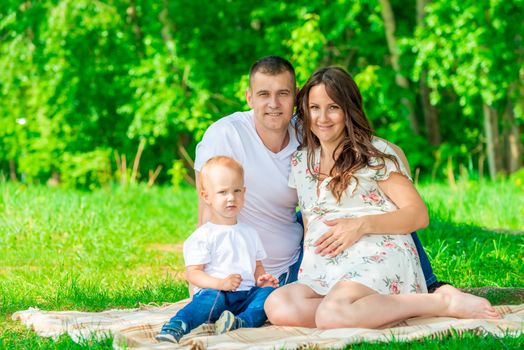 pregnant mom, dad and little son on a picnic in the park