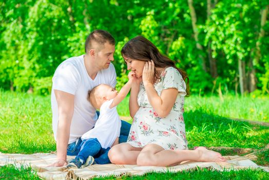 happy family on the blanket resting in the park, pregnant mother