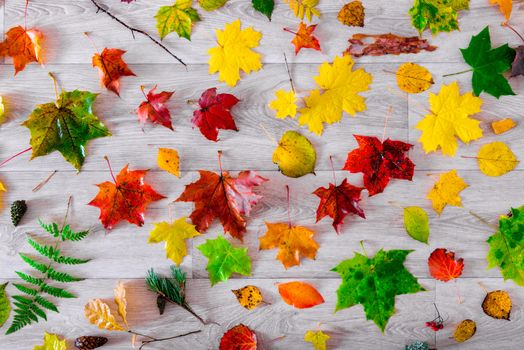 Autumnal natural composition of forest natural objects on the floor top view