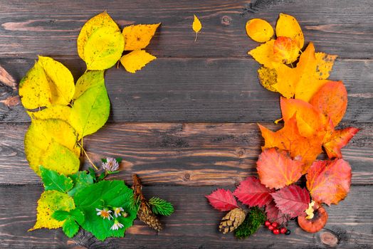 The space is framed by beautiful autumn leaves from the forest from above