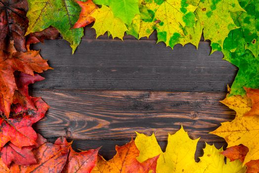 Frame with autumn beautiful leaves with space in the center - background for the inscription