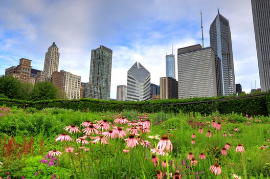 The Chicago skyline from Lurie Garden.