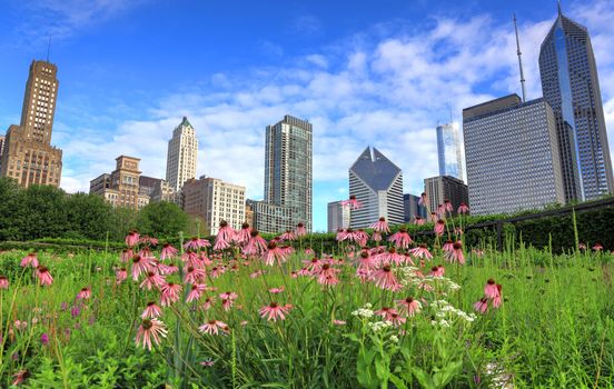 The Chicago skyline from Lurie Garden.