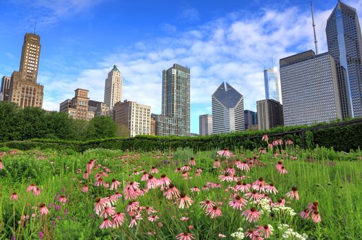 The Chicago skyline from Lurie Garden.