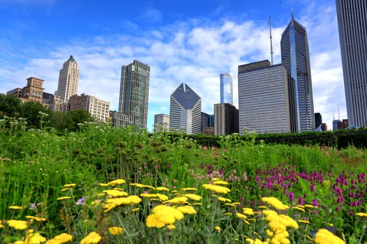 The Chicago skyline from Lurie Garden.