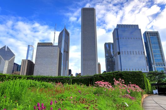 The Chicago skyline from Lurie Garden.