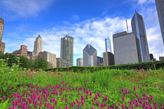 The Chicago skyline from Lurie Garden.