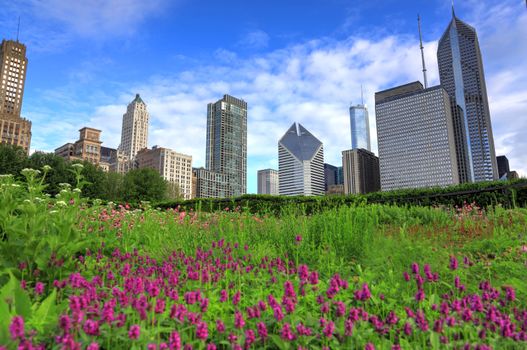 The Chicago skyline from Lurie Garden.