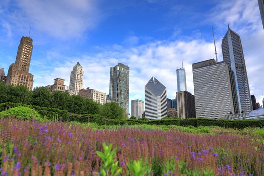 The Chicago skyline from Lurie Garden.