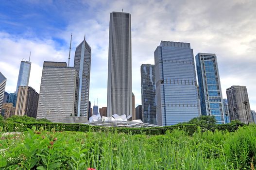 The Chicago skyline from Lurie Garden.