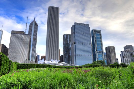 The Chicago skyline from Lurie Garden.