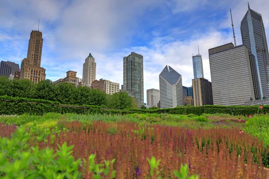 The Chicago skyline from Lurie Garden.