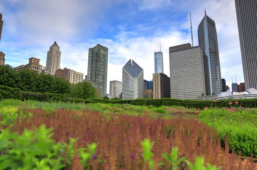 The Chicago skyline from Lurie Garden.