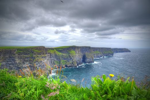 Ireland's Cliffs of Moher