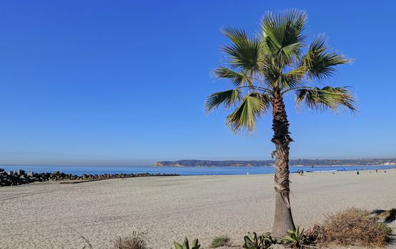 Coronado Beach just outside of San Diego, California.