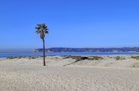 Coronado Beach just outside of San Diego, California.