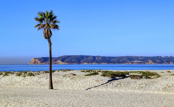 Coronado Beach just outside of San Diego, California.