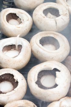 Tasty mushrooms grilled outside. Small depth of field