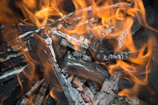 Closeup of logs burrning in preparation for nice barbecue