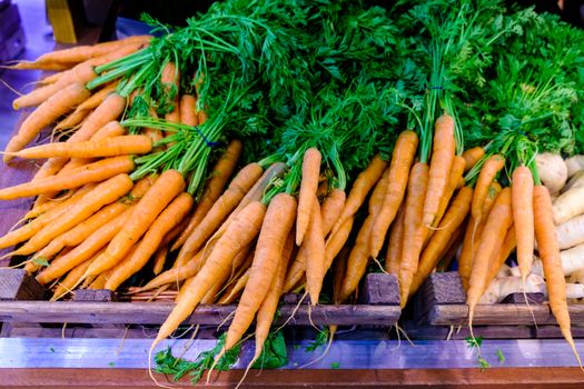 Fresh carrots on sales in local farmers market