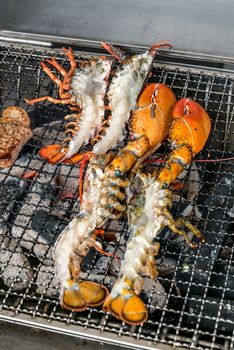 Lobster on the charcoal grill