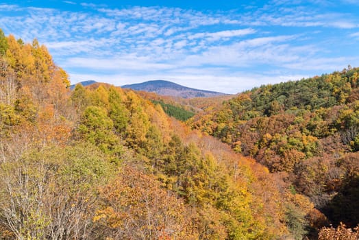 Nakatsugawa gorge from bridge at Fukushima in autumn fall Japan