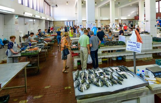 Zadar, Croatia - July 3 2018: Fishmarket in Zadar is one of the largest and best supplied in Croatia and attracts many local and foreign buyers. Fresh fish and seafod is offered from local fishermen.