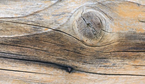 Details of Old wooden texture